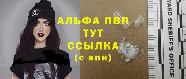 винт Магас