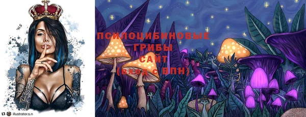 винт Магас