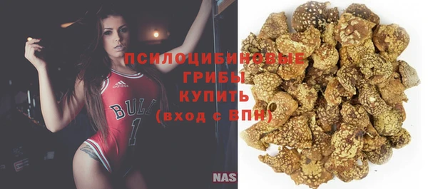 винт Магас