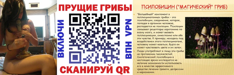 Галлюциногенные грибы Magic Shrooms  закладка  Очёр 